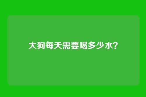 大狗每天需要喝多少水？