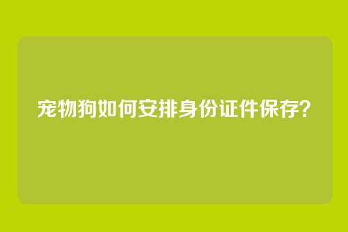 宠物狗如何安排身份证件保存？