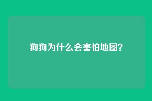 狗狗为什么会害怕地图？