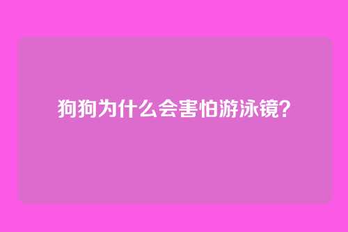 狗狗为什么会害怕游泳镜？