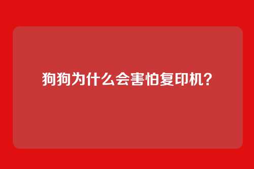 狗狗为什么会害怕复印机?
