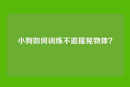 小狗如何训练不追摇晃物体?