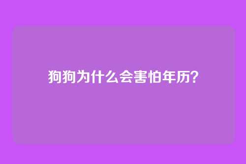 狗狗为什么会害怕年历？