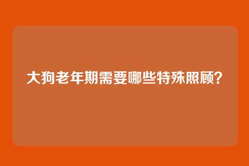 大狗老年期需要哪些特殊照顾？