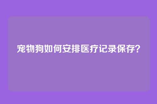 宠物狗如何安排医疗记录保存?