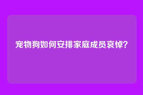 宠物狗如何安排家庭成员哀悼?