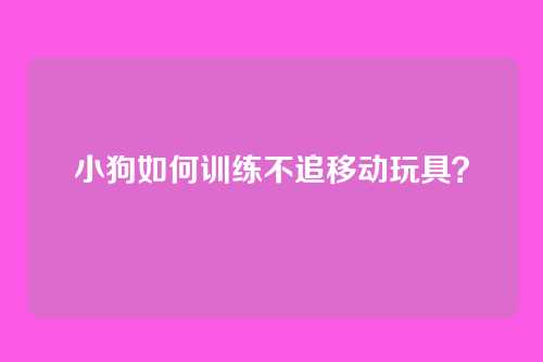 小狗如何训练不追移动玩具?
