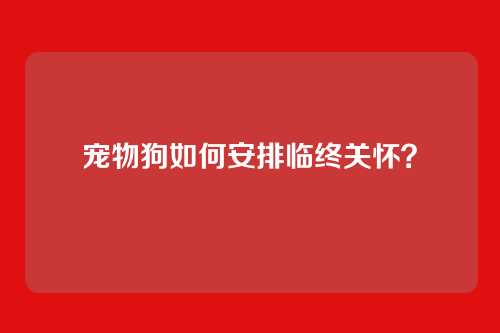 宠物狗如何安排临终关怀？