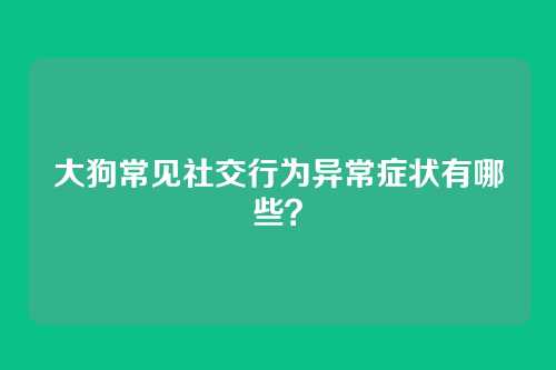 大狗常见社交行为异常症状有哪些？