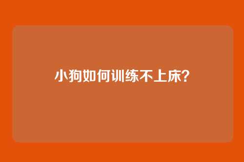 小狗如何训练不上床?