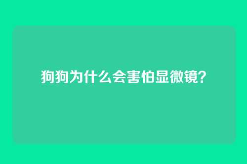 狗狗为什么会害怕显微镜？