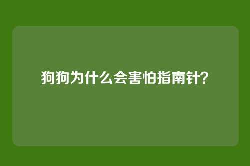 狗狗为什么会害怕指南针?