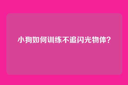 小狗如何训练不追闪光物体？
