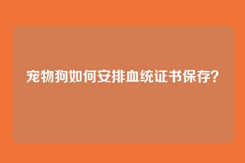 宠物狗如何安排血统证书保存？