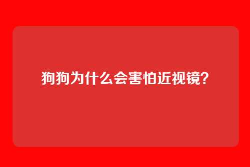 狗狗为什么会害怕近视镜？