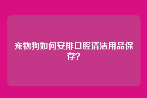 宠物狗如何安排口腔清洁用品保存？