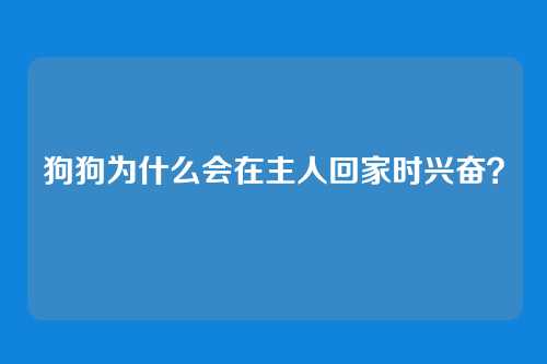 狗狗为什么会在主人回家时兴奋?