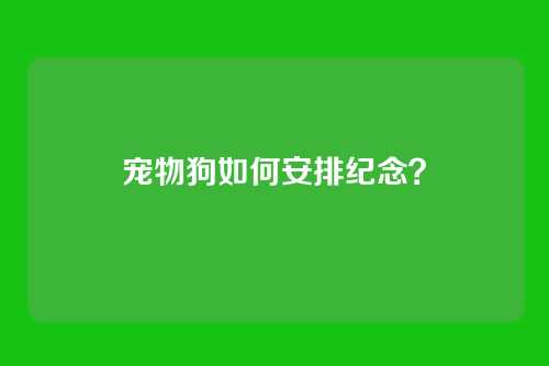 宠物狗如何安排纪念？