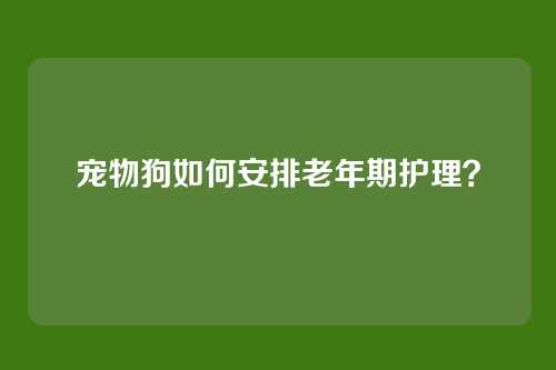 宠物狗如何安排老年期护理？