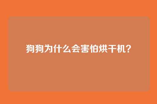 狗狗为什么会害怕烘干机？