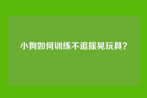 小狗如何训练不追摇晃玩具？