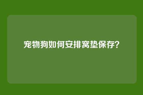 宠物狗如何安排窝垫保存？