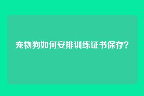 宠物狗如何安排训练证书保存?
