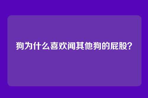 狗为什么喜欢闻其他狗的屁股?
