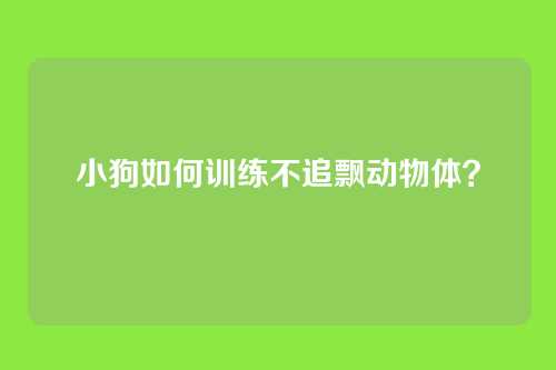 小狗如何训练不追飘动物体？