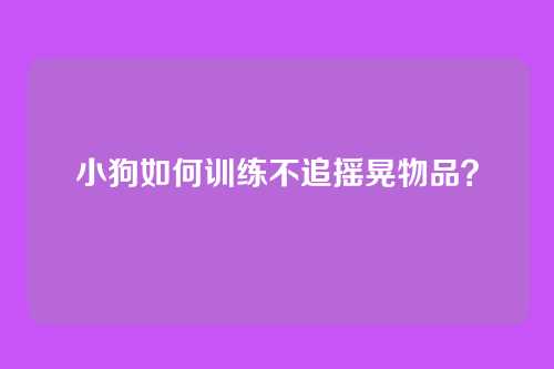 小狗如何训练不追摇晃物品？