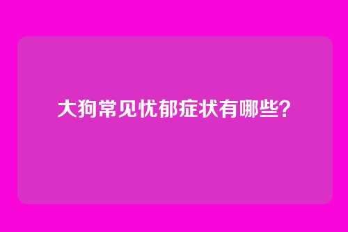 大狗常见忧郁症状有哪些？