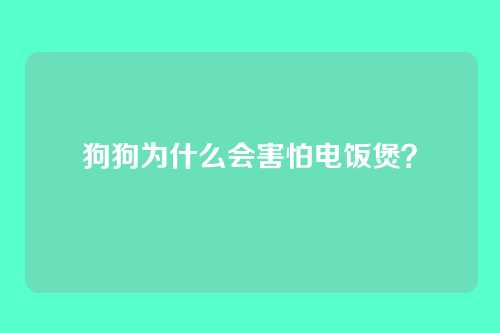 狗狗为什么会害怕电饭煲？
