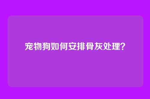 宠物狗如何安排骨灰处理？