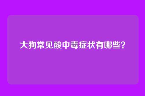 大狗常见酸中毒症状有哪些？