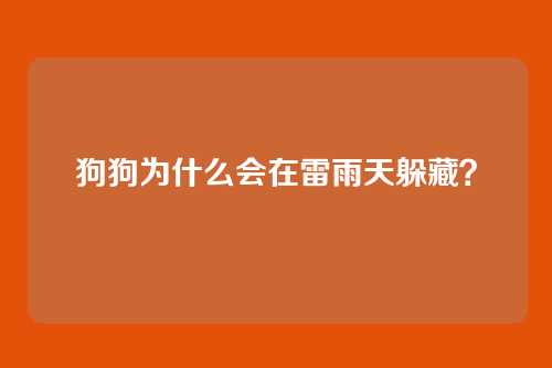 狗狗为什么会在雷雨天躲藏？
