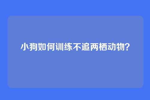 小狗如何训练不追两栖动物？