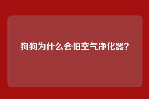 狗狗为什么会怕空气净化器？