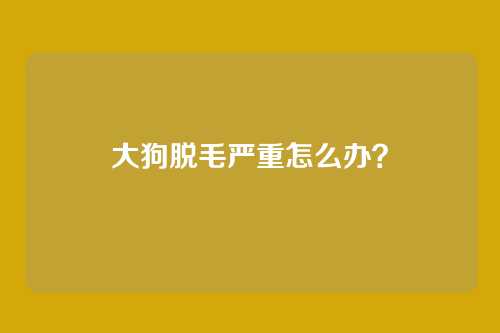 大狗脱毛严重怎么办？