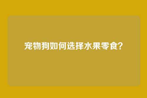 宠物狗如何选择水果零食?
