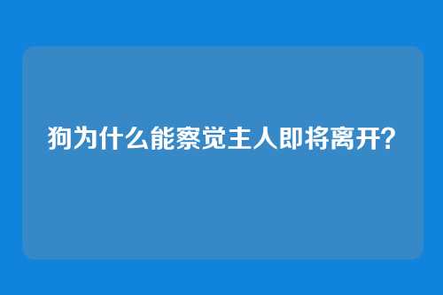 狗为什么能察觉主人即将离开？