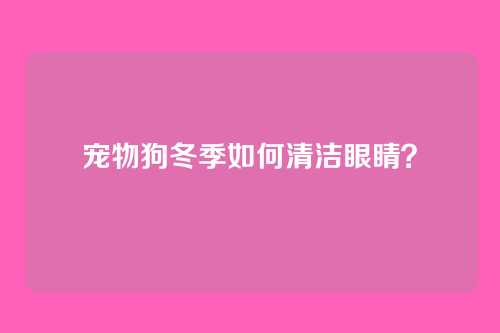 宠物狗冬季如何清洁眼睛？