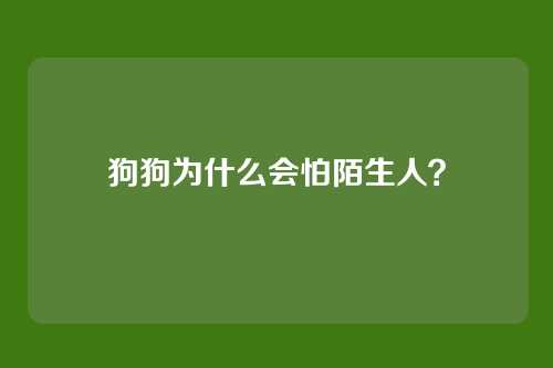 狗狗为什么会怕陌生人？