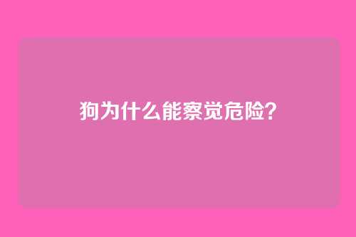 狗为什么能察觉危险？