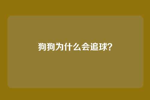 狗狗为什么会追球?