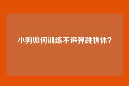 小狗如何训练不追弹跳物体？