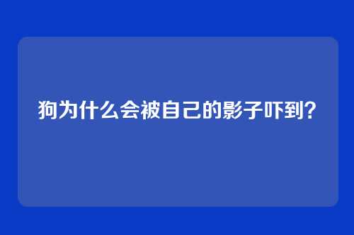 狗为什么会被自己的影子吓到？