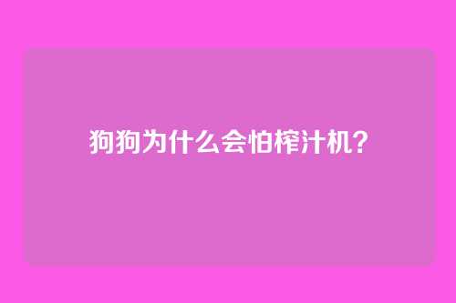 狗狗为什么会怕榨汁机?