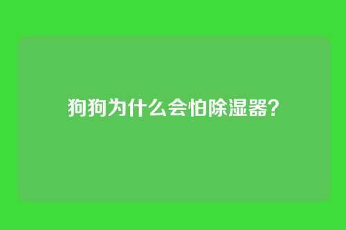 狗狗为什么会怕除湿器？