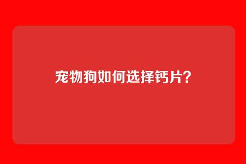 宠物狗如何选择钙片？