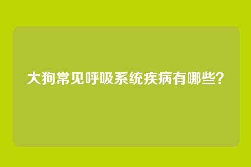 大狗常见呼吸系统疾病有哪些？
